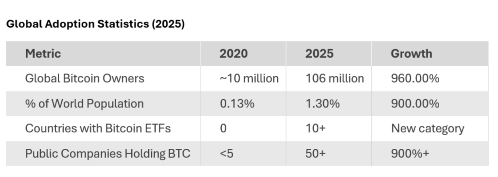 The Great Bitcoin Gold Rush of 2025: Who Actually Owns It? 6 Bitcoin and Beyond Website 2